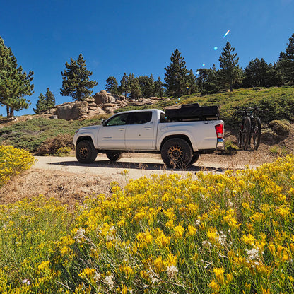 Elevate Chromoly Uniball UCA, 2005-2023 Tacoma 2/4WD