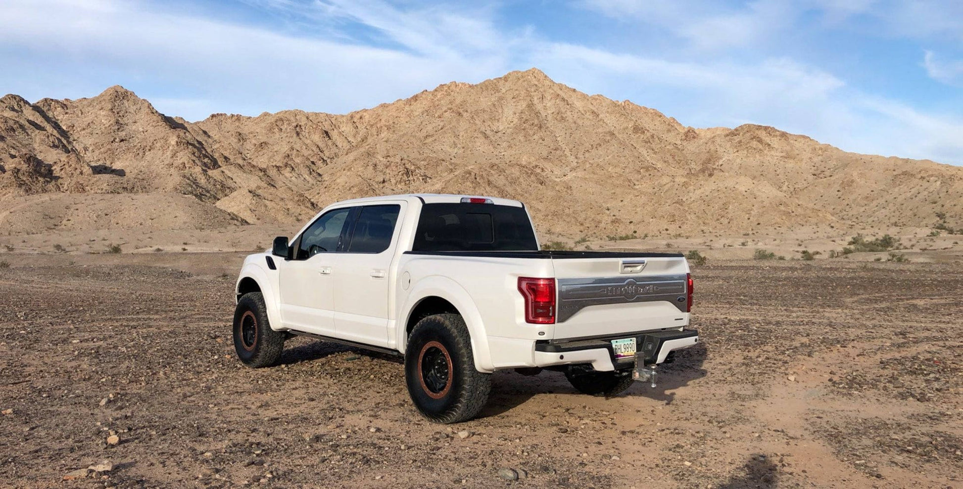 15+ Ford F150 OEM Raptor Style Fiberglass Bedsides - View 1