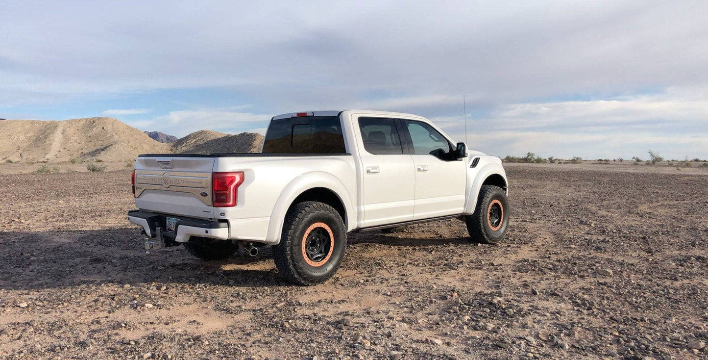 15+ Ford F150 OEM Raptor Style Fiberglass Bedsides - View 2