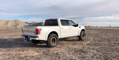 15+ Ford F150 OEM Raptor Style Fiberglass Bedsides - View 2