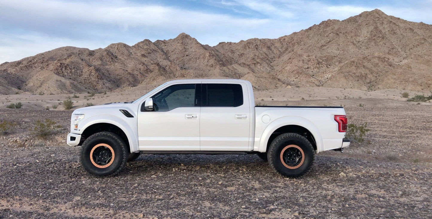 15+ Ford F150 OEM Raptor Style Fiberglass Bedsides - View 3
